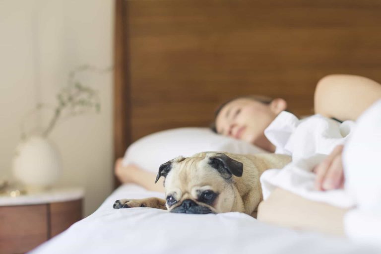 5 Sleep Specialists On What They Do When They Can&rsquo;t Fall Asleep